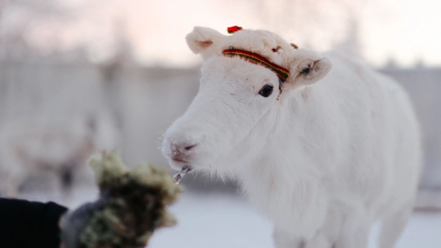 PRINT_4284_221211.jpg.