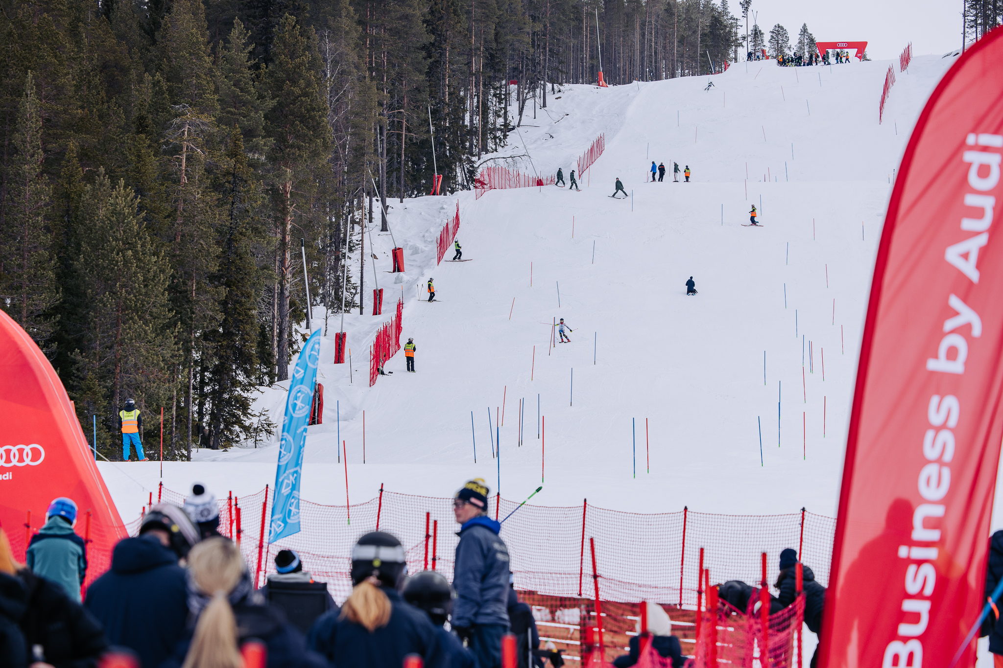 IHF_WEBB_9682_260308.jpg.