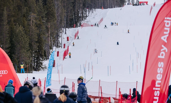 IHF_WEBB_9682_260308.jpg.