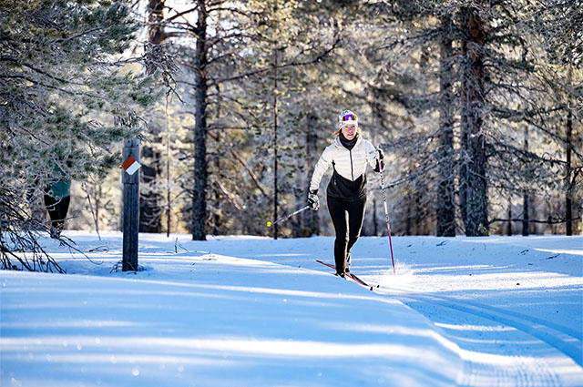 23Up_himmel_05555jpg.jpeg.