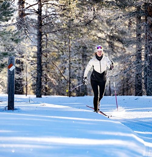 23Up_himmel_05555jpg.jpeg.