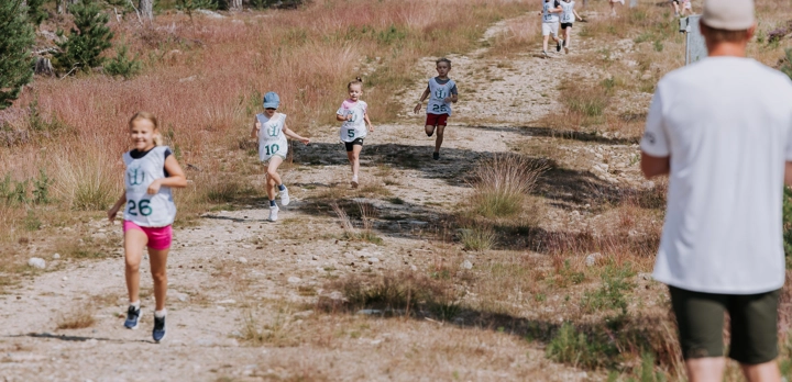 IHF_WEBB_0295_250725.jpg.