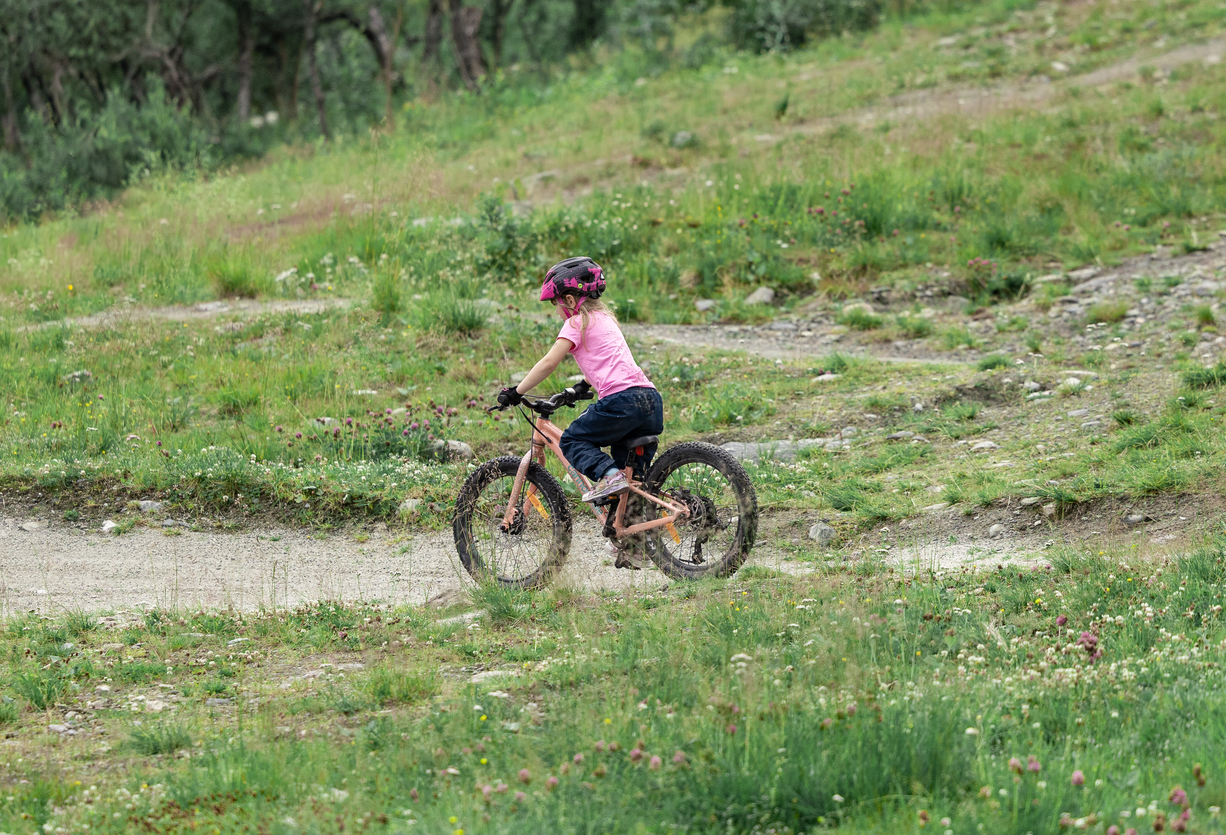 IHF_0530_250730.jpg.
